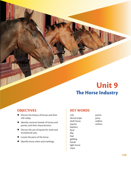 Unit 9 Te Horse Industry