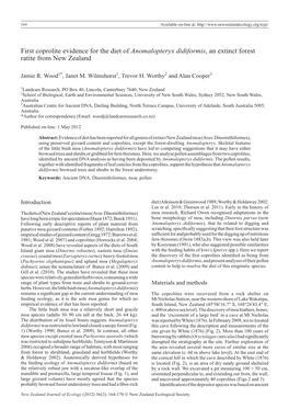 First Coprolite Evidence for the Diet of Anomalopteryx Didiformis, an Extinct Forest Ratite from New Zealand