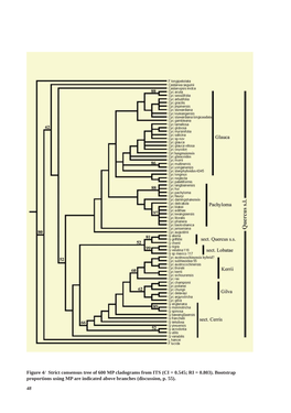 Taxonomy and Systematics of Quercus Subgenus Cyclobalanopsis