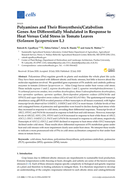 Polyamines and Their Biosynthesis/Catabolism Genes Are Diﬀerentially Modulated in Response to Heat Versus Cold Stress in Tomato Leaves (Solanum Lycopersicum L.)