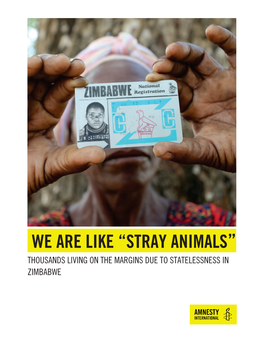 Zimbabwe: We Are Like "Stray Animals"