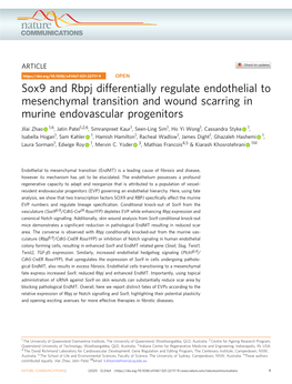 Sox9 and Rbpj Differentially Regulate Endothelial to Mesenchymal Transition and Wound Scarring in Murine Endovascular Progenitors