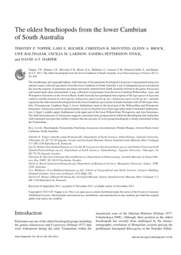 The Oldest Brachiopods from the Lower Cambrian of South Australia