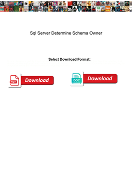 Sql Server Determine Schema Owner