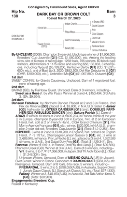 DARK BAY OR BROWN COLT Barn 3 Hip No