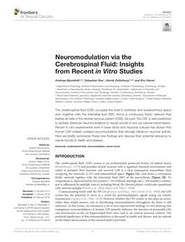 Neuromodulation Via the Cerebrospinal Fluid: Insights from Recent in Vitro Studies