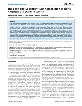 The Body Size-Dependent Diet Composition of North American Sea Ducks in Winter