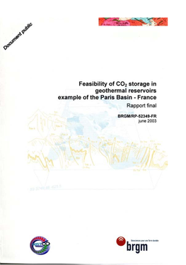 Feasibility of CO2 Storage in Geothermal Reservoirs Example of the Paris Basin - France Rapport Final