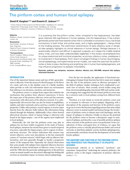 The Piriform Cortex and Human Focal Epilepsy