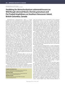 Swabbing for Batrachochytrium Salamandrivorans