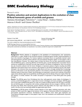 Positive Selection and Ancient Duplications in the Evolution Of