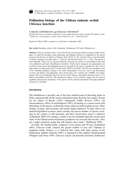 Pollination Biology of the Chilean Endemic Orchid Chloraea Lamellata