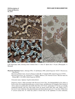 PHYSARUM BOGORIENSE Fungi and Bacteria No