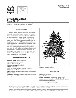Betula Populifolia Gray Birch1 Edward F
