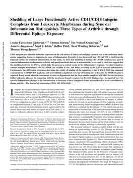 Exposure Arthritis Through Differential Epitope Inflammation Distinguishes Three Types of Leukocyte Membranes During Synovial CD