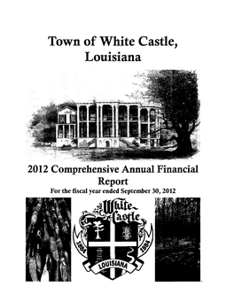 Town of White Castle, Louisiana