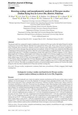 Roosting Ecology and Morphometric Analysis of Pteropus Medius (Indian Flying Fox) in Lower Dir, District, Pakistan W