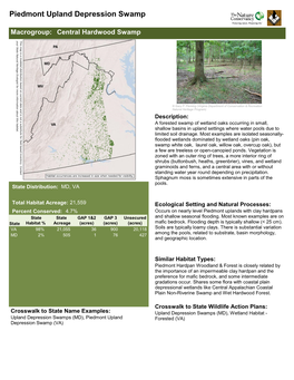 Piedmont Upland Depression Swamp