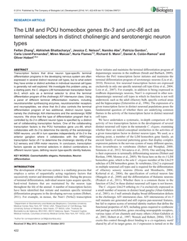 The LIM and POU Homeobox Genes Ttx-3 and Unc-86 Act As Terminal