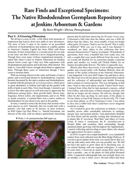 Rare Finds and Exceptional Specimens: the Native Rhododendron Germplasm Repository at Jenkins Arboretum & Gardens by Steve Wright—Devon, Pennsylvania