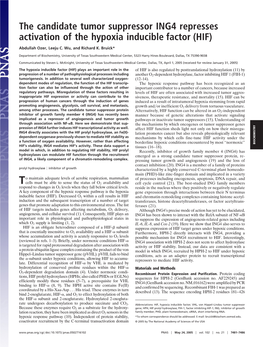 The Candidate Tumor Suppressor ING4 Represses Activation of the Hypoxia Inducible Factor (HIF)