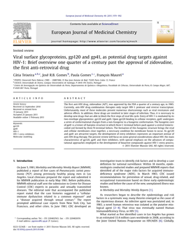 Viral Surface Glycoproteins, Gp120 and Gp41, As Potential Drug Targets