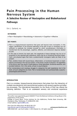 Pain Processing in the Human Nervous System a Selective Review of Nociceptive and Biobehavioral Pathways