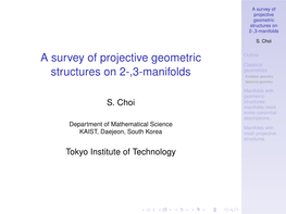 A Survey of Projective Geometric Structures on 2-,3-Manifolds