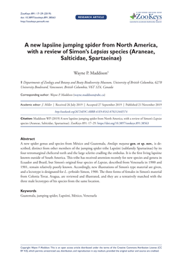 A New Lapsiine Jumping Spider from North America, with a Review of Simon’S Lapsias Species (Araneae, Salticidae, Spartaeinae)