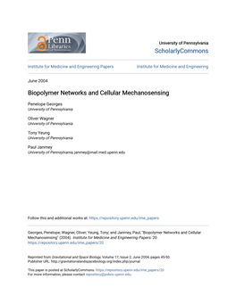 Biopolymer Networks and Cellular Mechanosensing