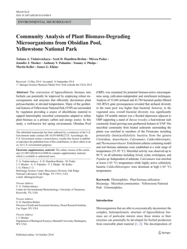 Community Analysis of Plant Biomass-Degrading Microorganisms from Obsidian Pool, Yellowstone National Park