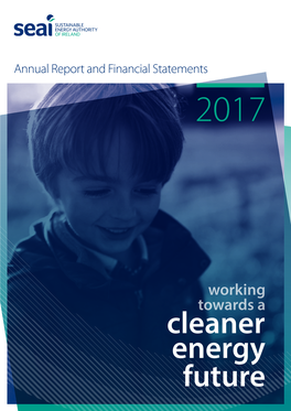 SEAI Annual Report 2017