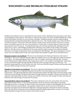 Wisconsin's Lake Michigan Steelhead Strains