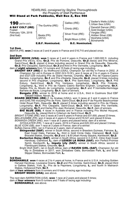 YEARLING, Consigned by Skyline Thoroughbreds the Property of Stall Parthenaue Will Stand at Park Paddocks, Wall Box Z, Box 566