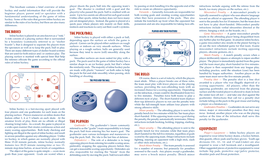 Know Your Inline Hockey 2