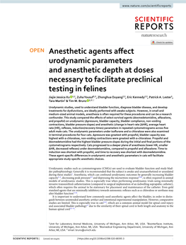 Anesthetic Agents Affect Urodynamic Parameters and Anesthetic Depth At