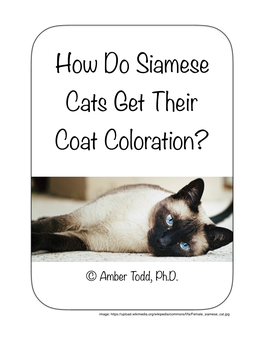 How Do Siamese Cats Get Their Coat Coloration?