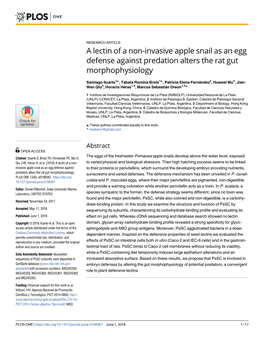 A Lectin of a Non-Invasive Apple Snail As an Egg Defense Against Predation Alters the Rat Gut Morphophysiology
