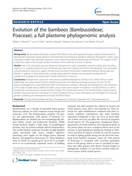 Evolution of the Bamboos