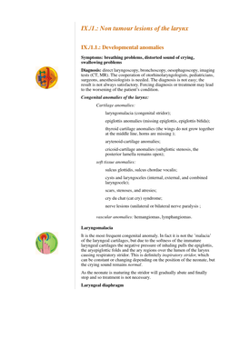 IX./1.: Non Tumour Lesions of the Larynx