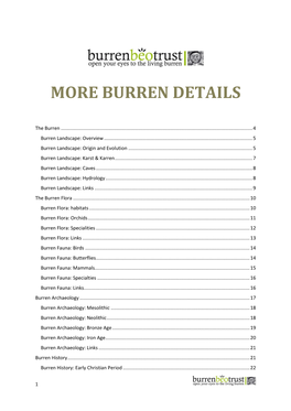 More Burren Details