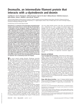 Dystrobrevin and Desmin