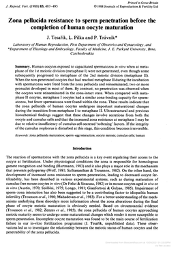 Zona Pellucida Resistance to Sperm Penetration Before the Completion of Human Oocyte Maturation J