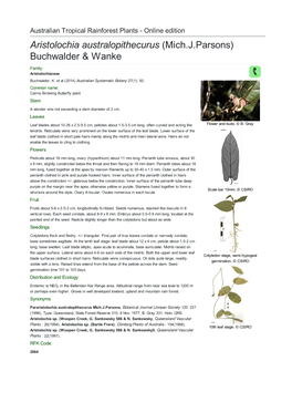 Aristolochia Australopithecurus (Mich.J.Parsons) Buchwalder & Wanke Family: Aristolochiaceae Buchwalder, K