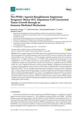 The Pparγ Agonist Rosiglitazone Suppresses Syngeneic Mouse SCC (Squamous Cell Carcinoma) Tumor Growth Through an Immune-Mediated Mechanism