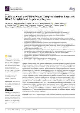 JAZF1, a Novel P400/TIP60/Nua4 Complex Member, Regulates H2A.Z Acetylation at Regulatory Regions