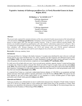 Vegetative Anatomy of Galinsoga Parviflora Cav. (A Newly Recorded Genera in Jazan Region, KSA)