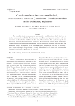 Cranial Musculature in Extant Crocodile Shark, Pseudocarcharias Kamoharai (Lamniformes : Pseudocarchariidae) and Its Evolutionary Implications