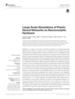 Large-Scale Simulations of Plastic Neural Networks on Neuromorphic Hardware