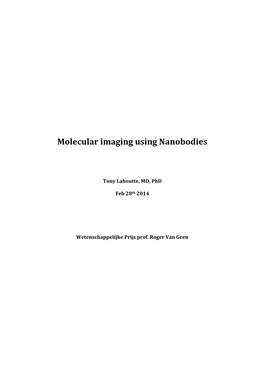 Molecular Imaging Using Nanobodies